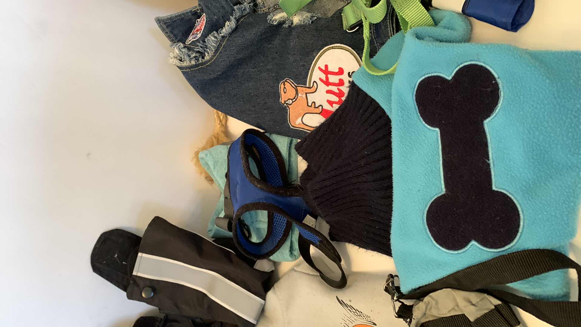 Photo 3 of DOG ACCESSORIES ASSORTMENT