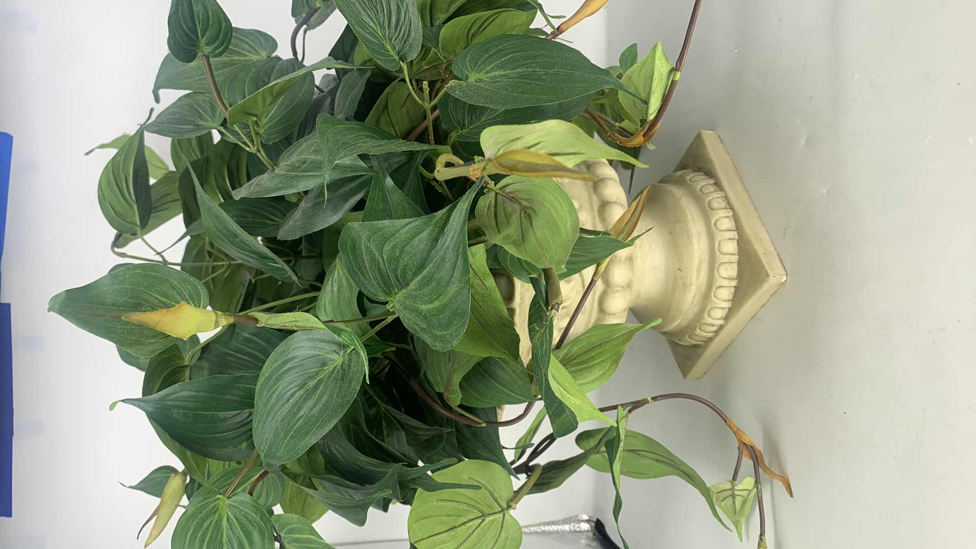 Photo 2 of 3 PLANTS, 2 FAUX, 1 LIVE TALLEST H19”