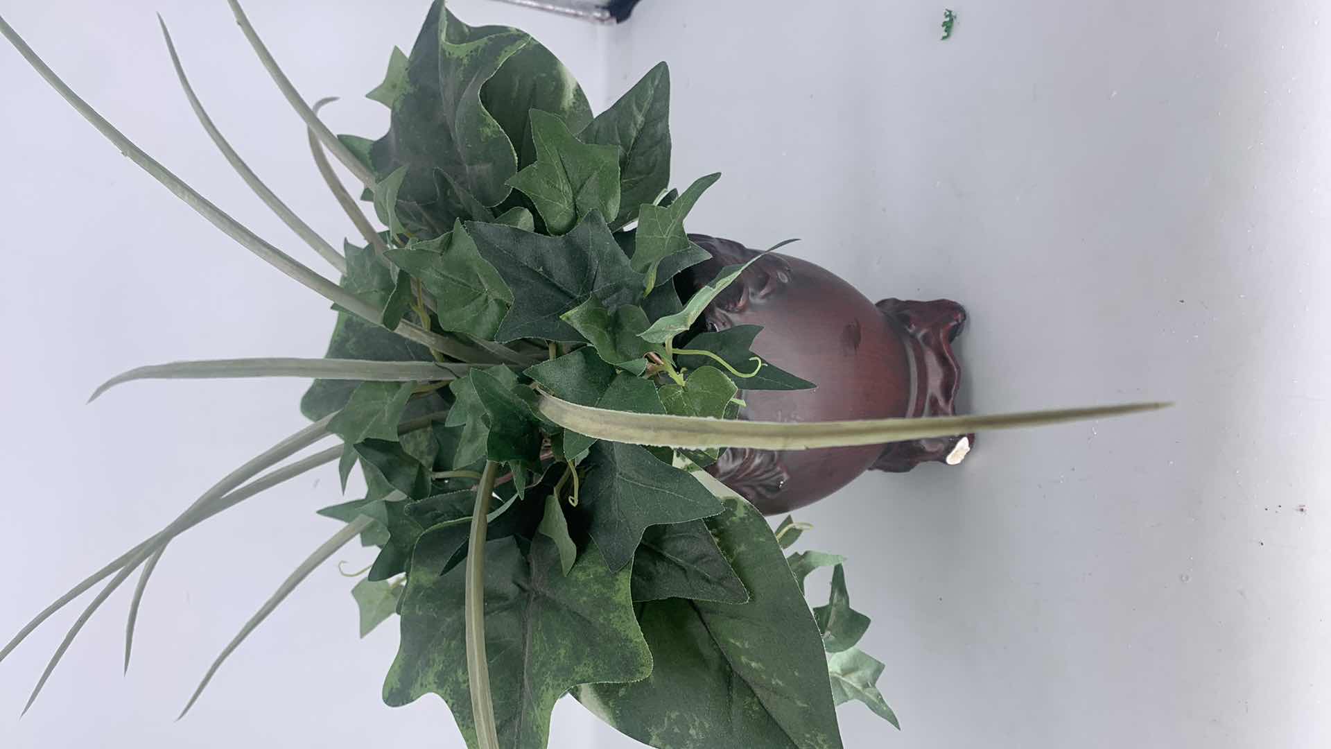 Photo 1 of 3 PLANTS, 2 FAUX, 1 LIVE TALLEST H19”