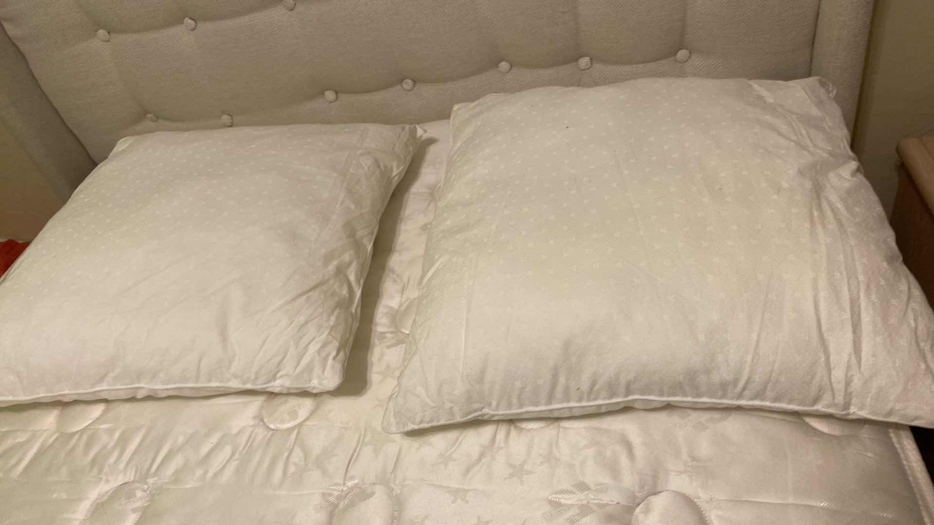 Photo 1 of PAIR OF EURO PILLOW FORMS