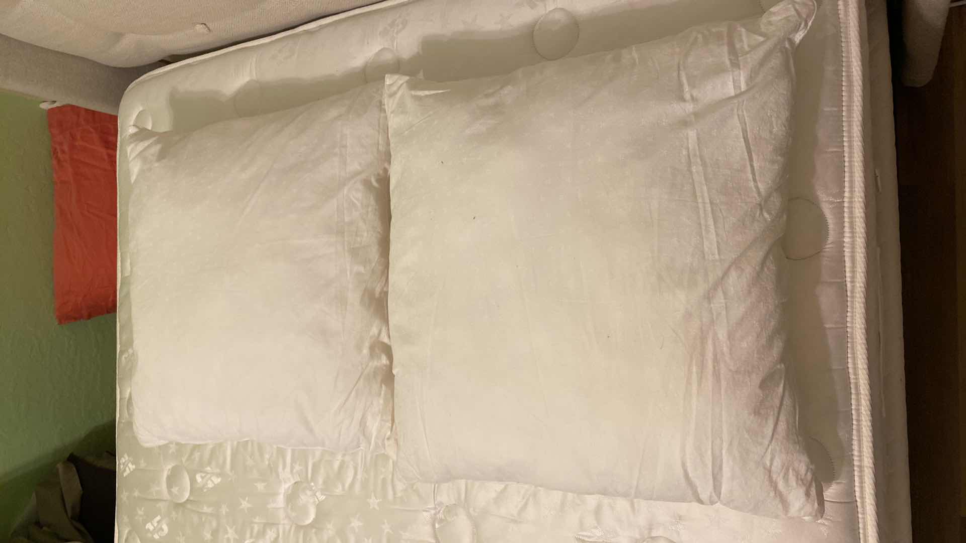 Photo 1 of PAIR OF EURO PILLOW FORMS