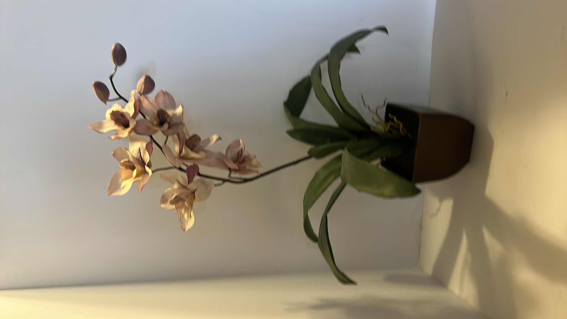 Photo 1 of HOME DECOR, 2 FAUX PLANTS, ORCHID H25”