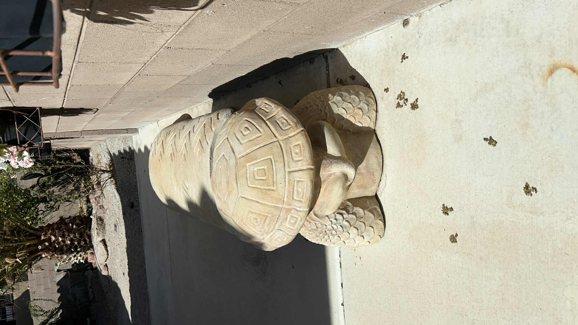 Photo 1 of VERY HEAVY CONCRETE TURTLE BENCH 5’ x 22” x H18”