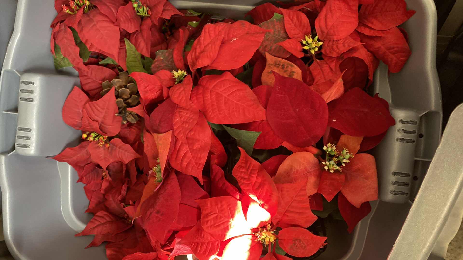 Photo 1 of 5 TOTES OF CHRISTMAS AND 4’ TREE