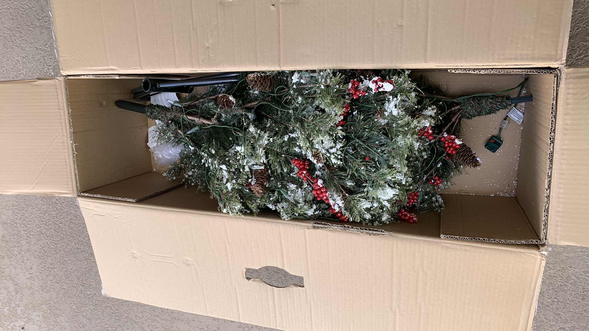 Photo 1 of 4.5 KED FAST SHAPE SNOW NEEDLE PINE