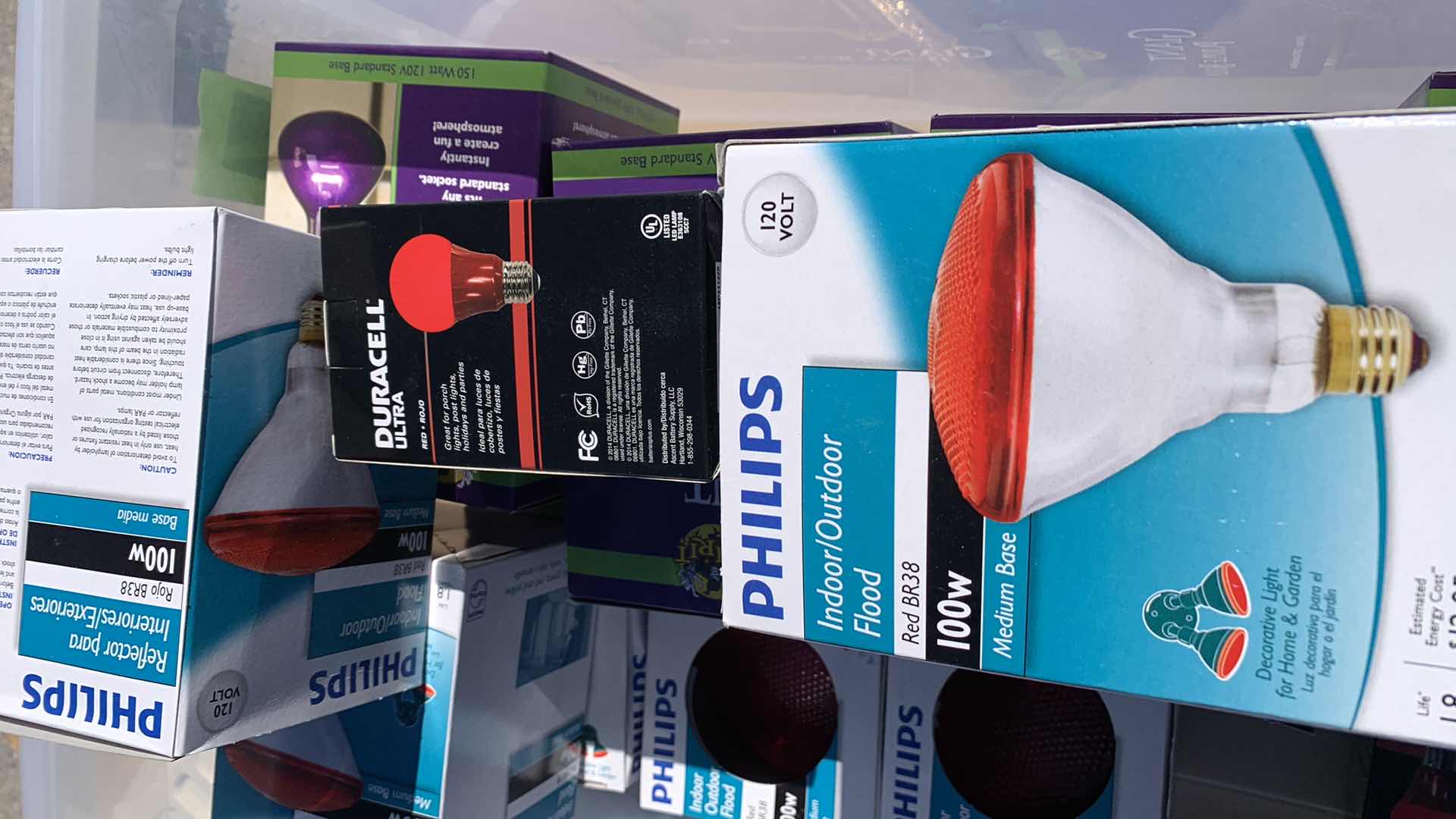 Photo 1 of GIANT PURPLE BULBS AND OTHER COLORS