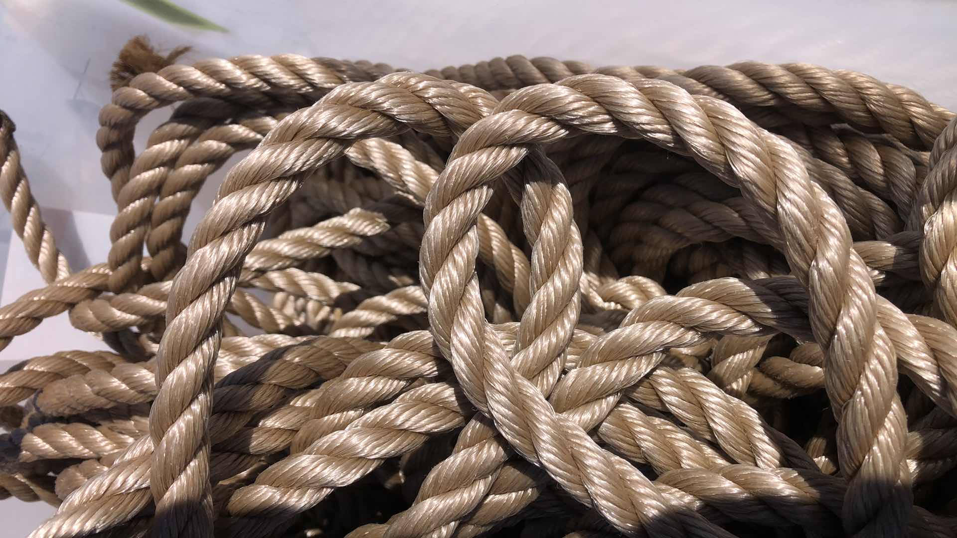 Photo 1 of CONTAINER OF ROPE NOOSES