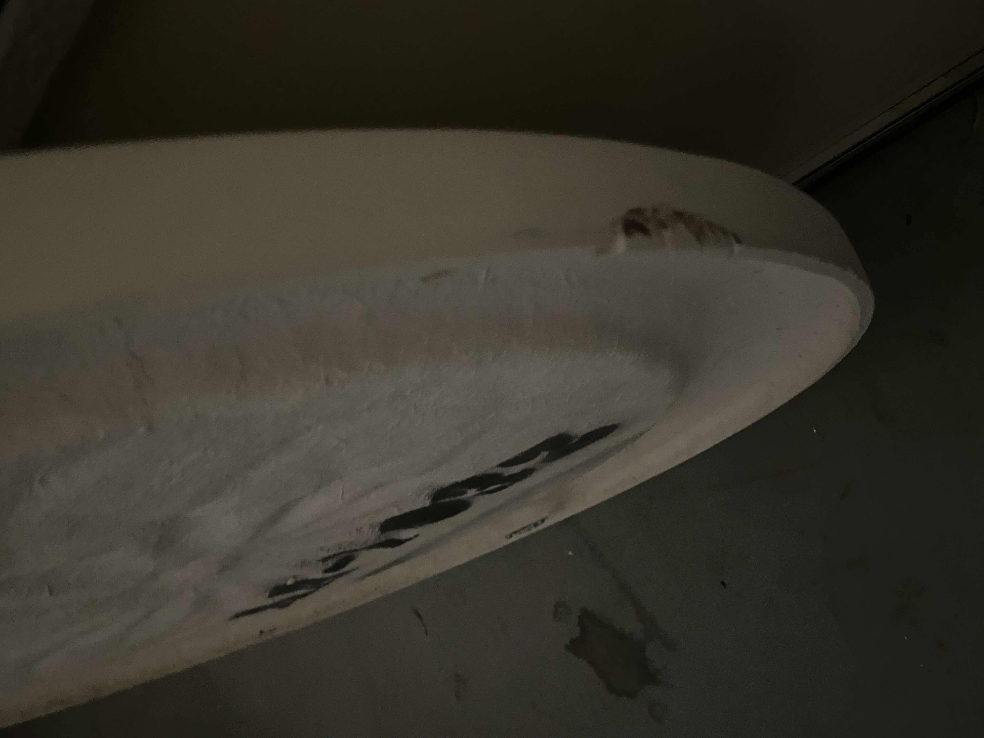 Photo 1 of PLASTER WALL MEDALLION FROM WYNN RESORT 30”