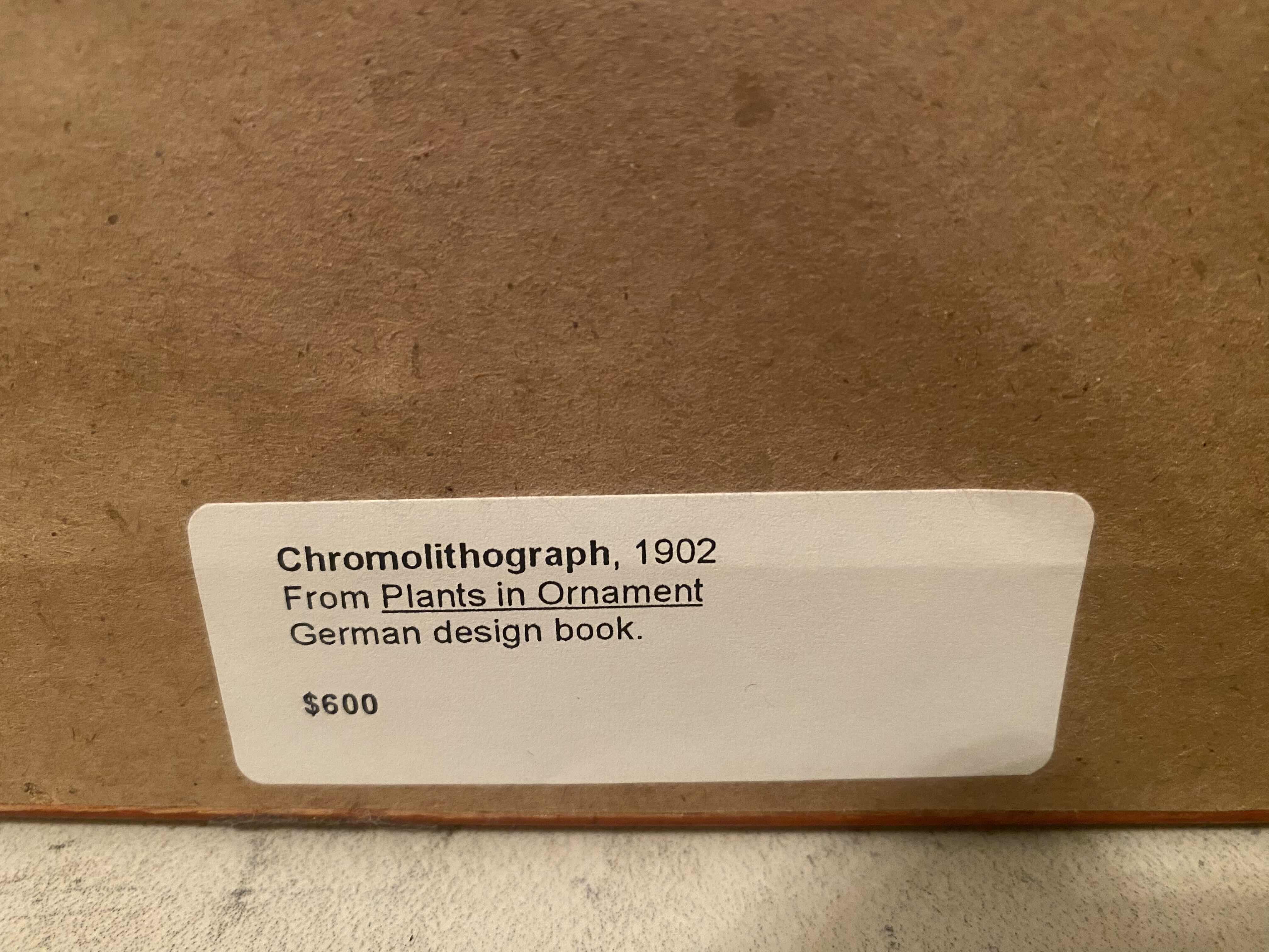 Photo 1 of GOLD WOOD CUSTOM FRAMED & MATTED CHROMOLITHOGRAPH, 1902 FROM PLANTS IN ORNAMENT GERMAN DESIGN BOOK HOPFEN ARTWORK  20” X 29 1/2”