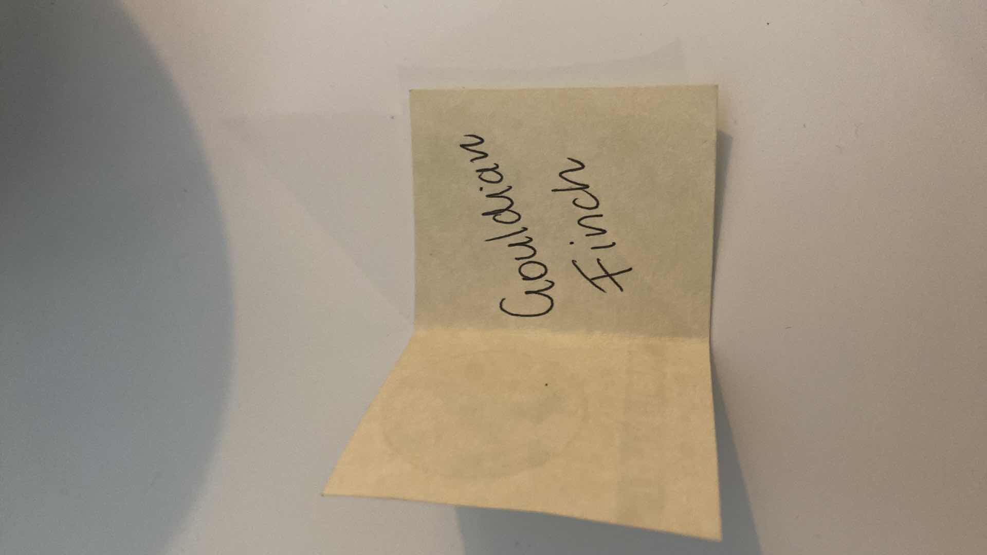 Photo 1 of 2001 BARBI LOCKLEE GOULDIAN FINCH CERAMIC TRINKET DISH