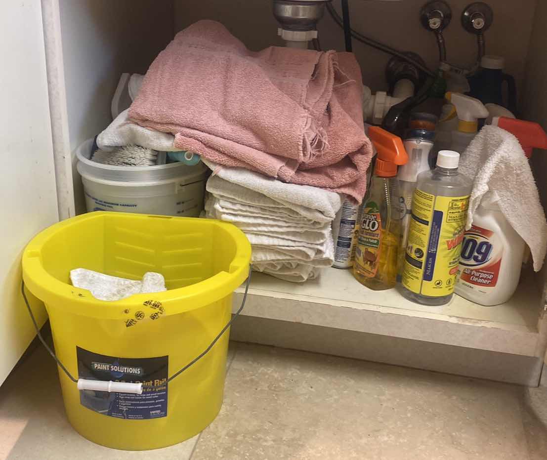 Photo 1 of CONTENTS OF LAUNDRY ROOM CABINET - UNDER SINK CLEANING SUPPLIES AND TOWELS