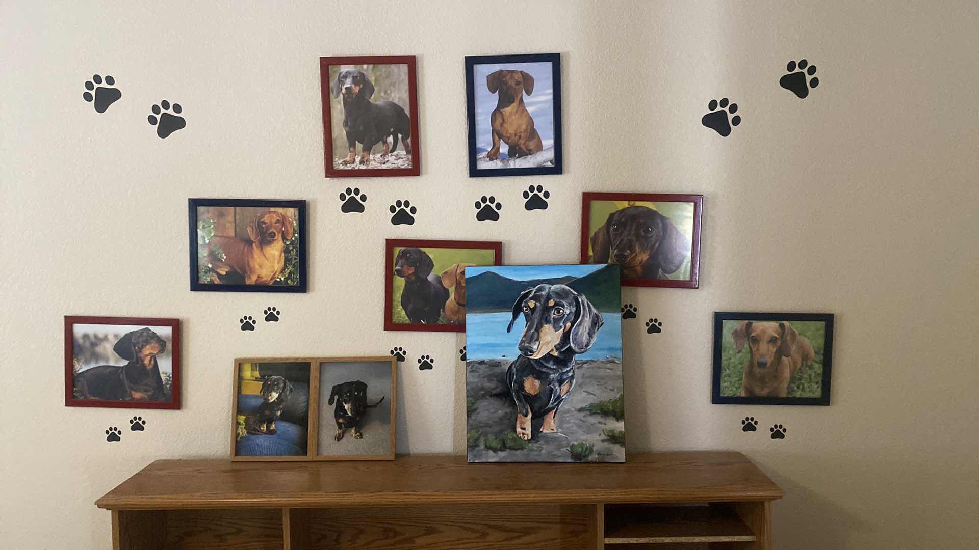 Photo 1 of DACHDHUND PHOTO ASSORTMENT, VARIOUS SIZES