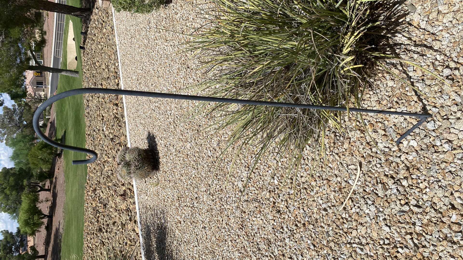 Photo 1 of 4 SHEPARD HOOKS VARIOUS SIZES LARGEST H 63”