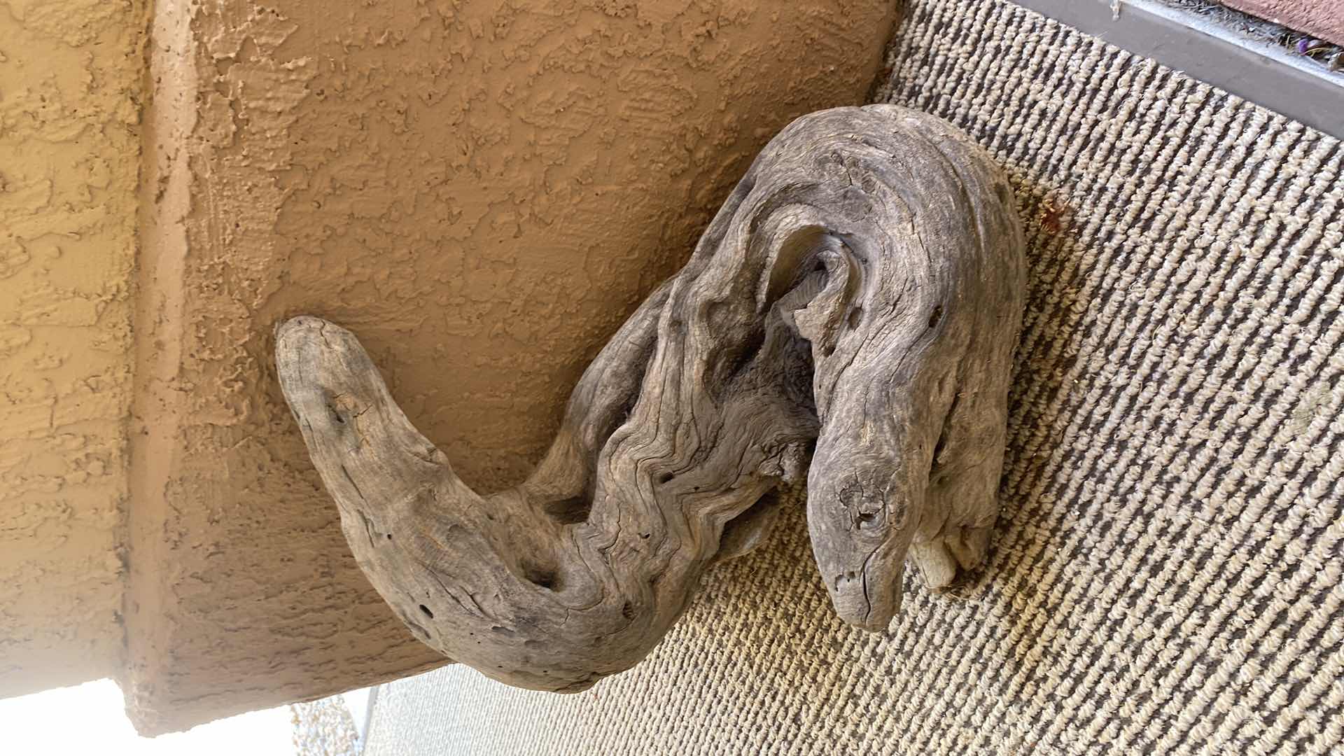 Photo 1 of DRIFTWOOD H 19”