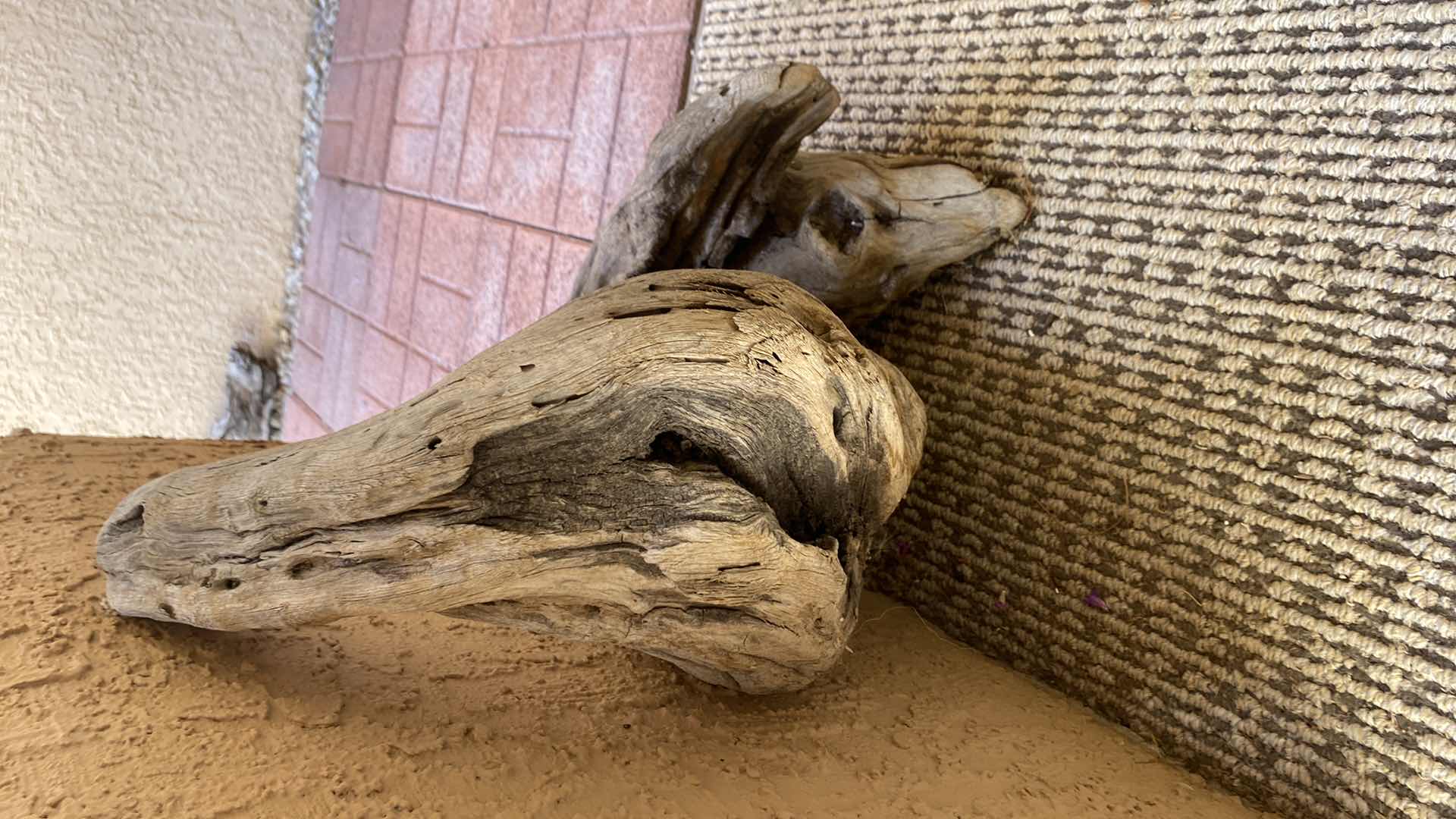 Photo 1 of DRIFTWOOD H 19”