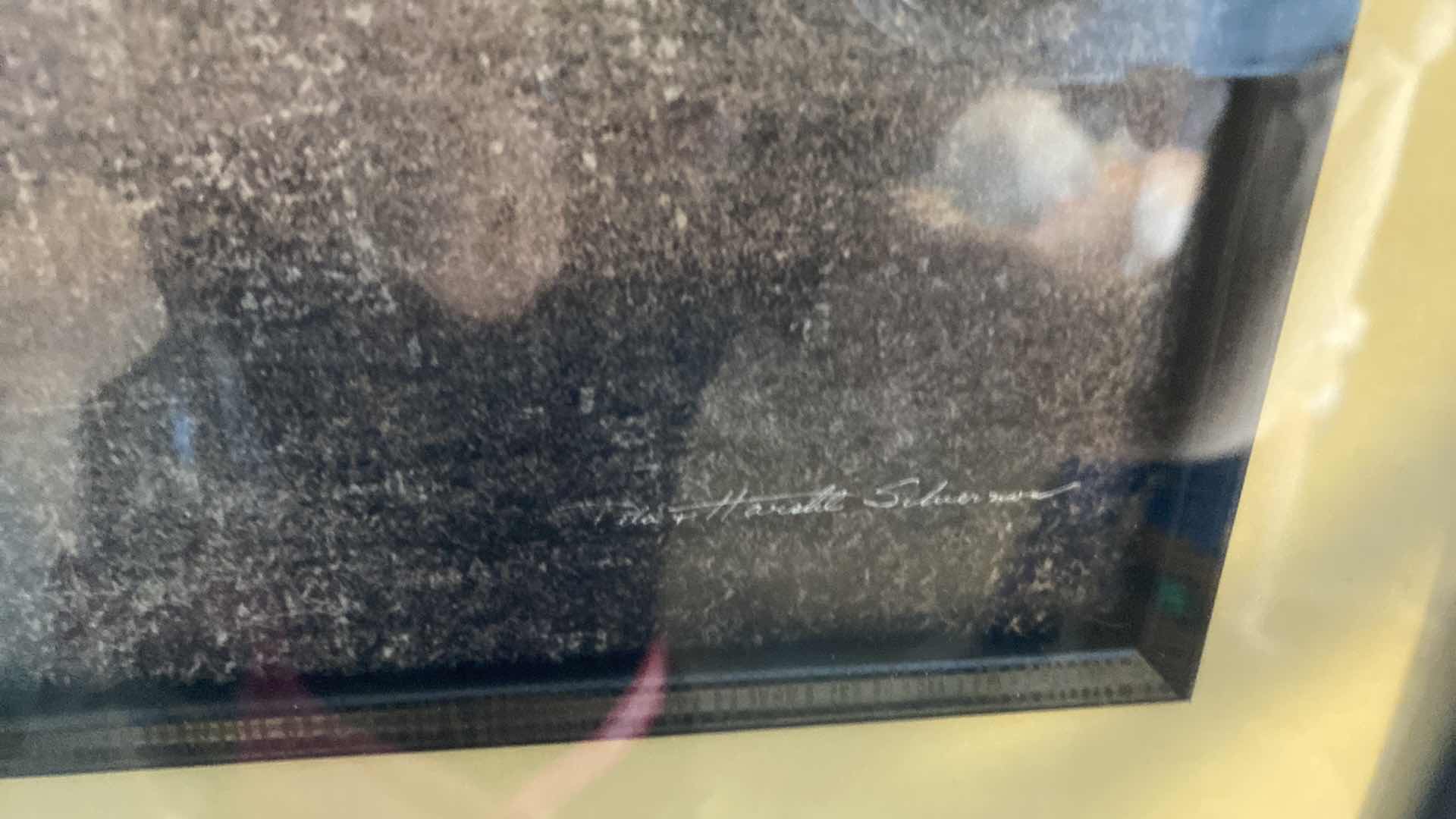 Photo 1 of FRAMED TREES SIGNED PRINT ARTWORK 45” x 21”