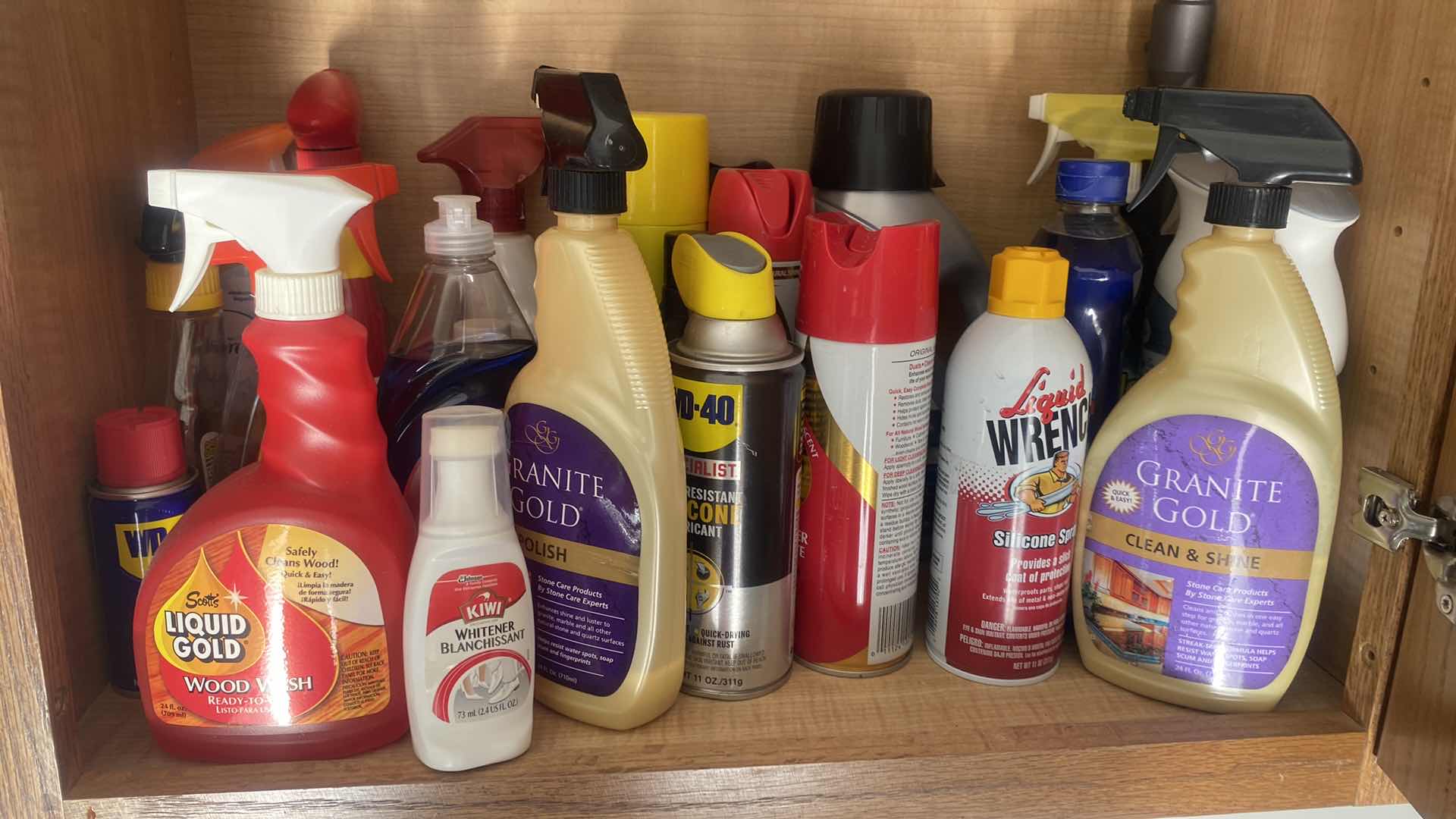 Photo 1 of GARAGE CABINET - CLEANING SUPPLIES