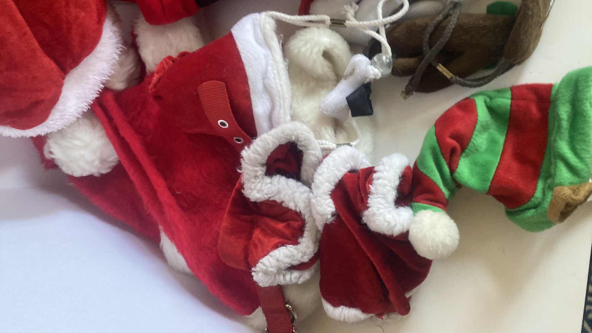 Photo 4 of DOG CHRISTMAS CLOTHING