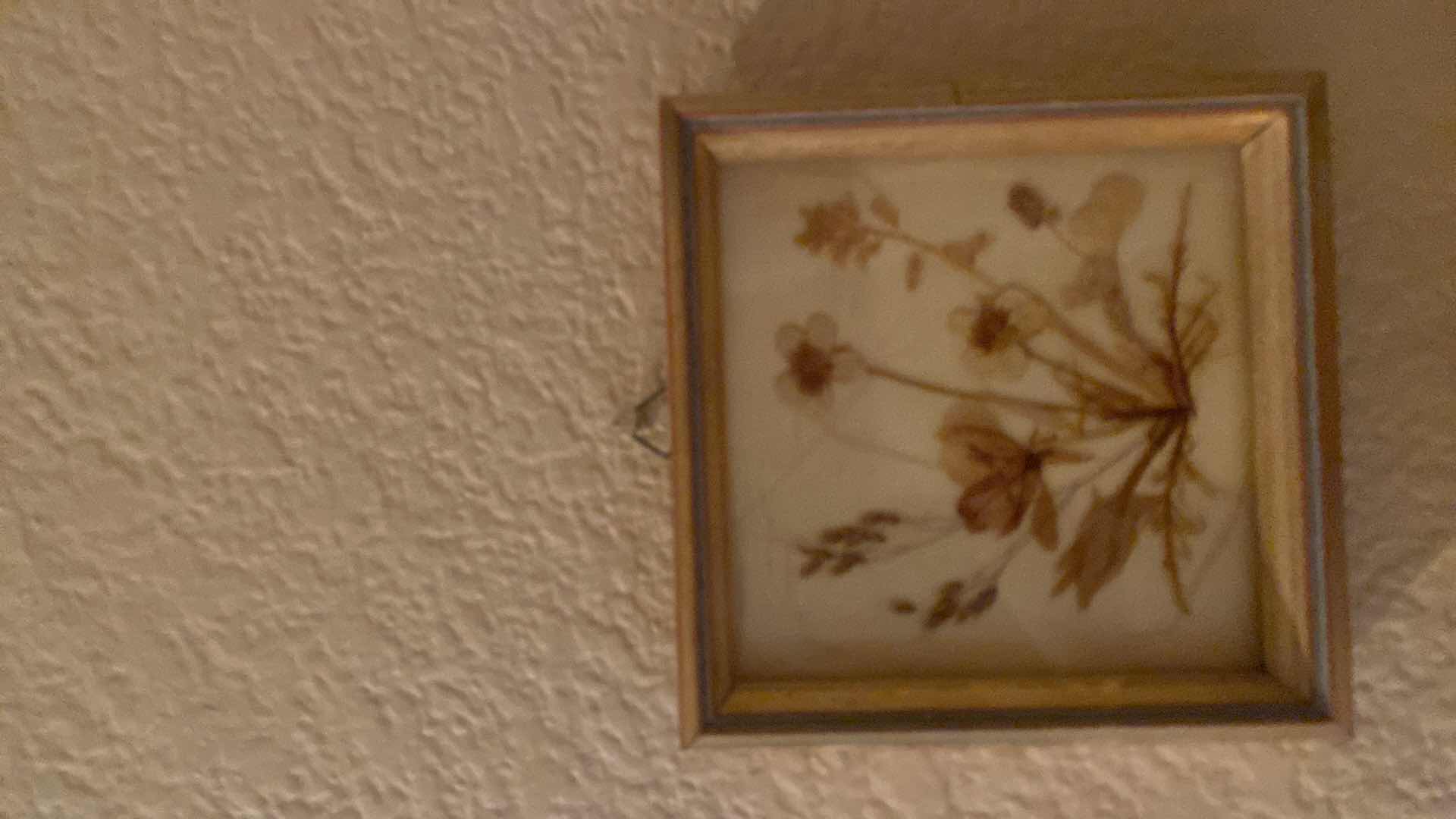 Photo 1 of 3-DRIED FLORAL SHADOW BOX 3 3/4” x 3 3/4”