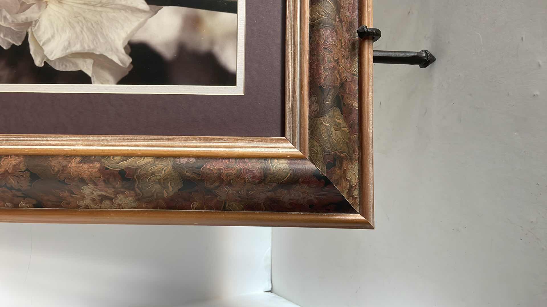 Photo 1 of FRAMED FLORAL ARTWORK 17”x 19.5”H