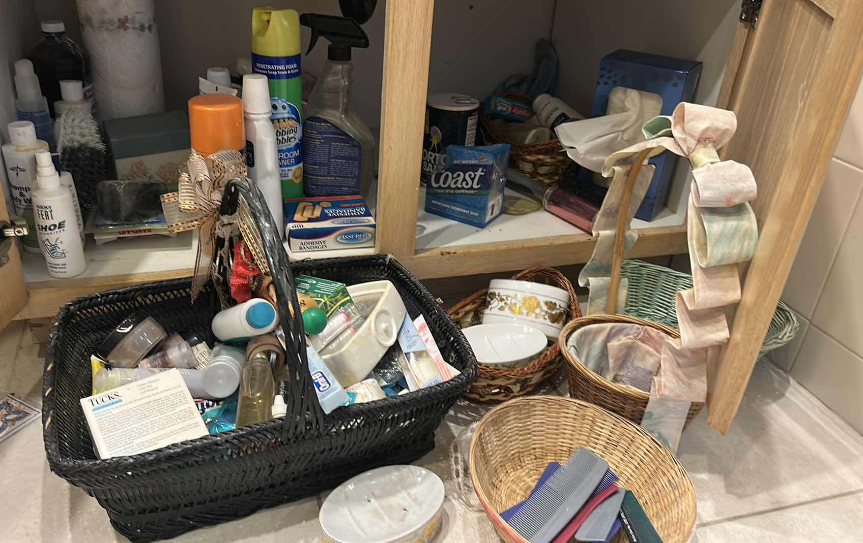 Photo 1 of CONTENTS UNDER SINK IN PRIMARY BATHROOM