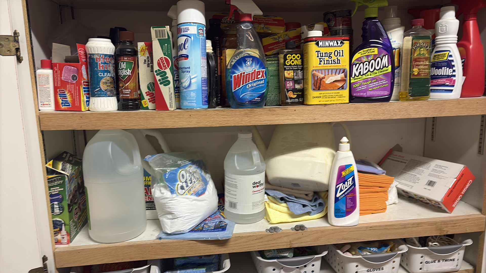 Photo 1 of CONTENTS OF GARAGE CABINET -CLEANING SUPPLIES