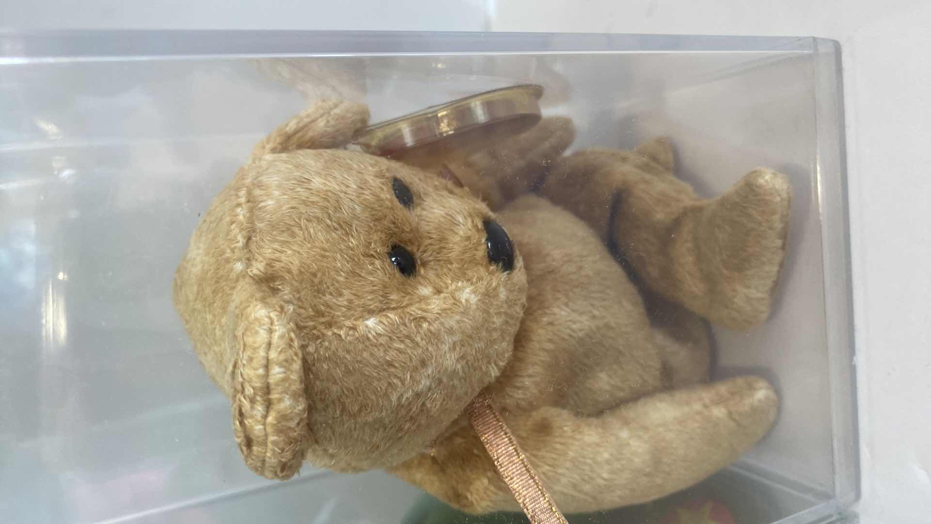 Photo 1 of 4 TY BEANIE BABY COLLECTABLES IN DISPLAY BOXES