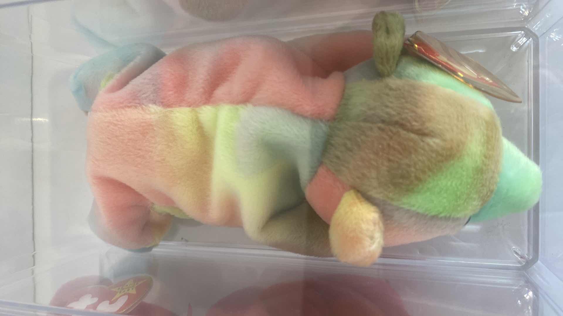 Photo 4 of 4 TY BEANIE BABY COLLECTABLES IN DISPLAY BOXES