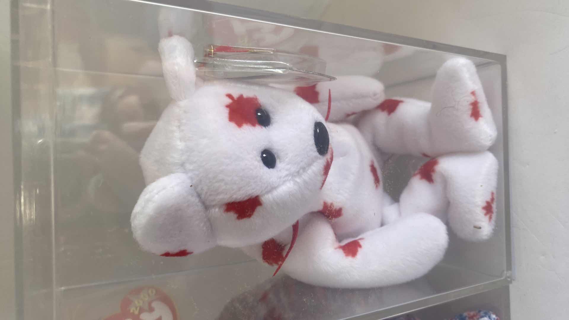 Photo 6 of 5 TY BEANIE BABY COLLECTABLES IN DISPLAY BOXES - COUNTRIES