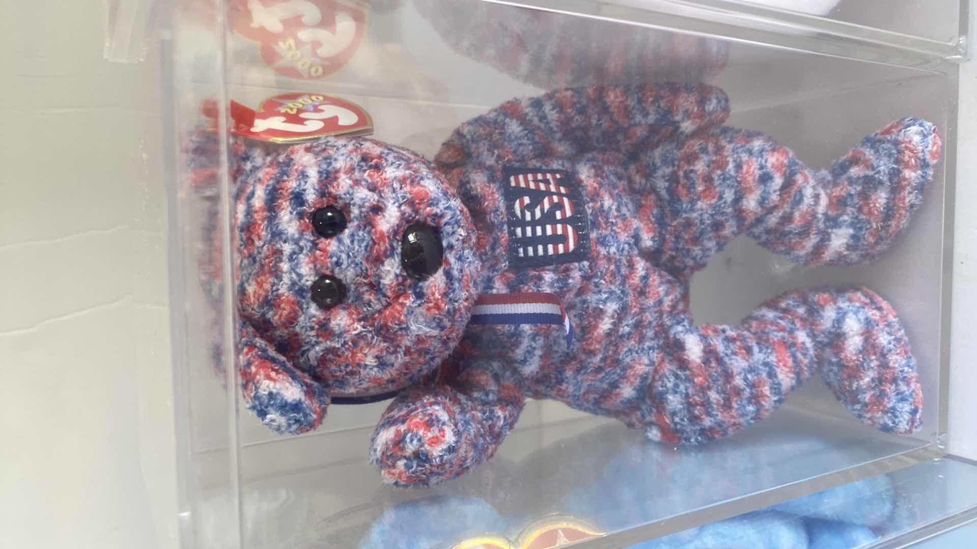 Photo 5 of 5 TY BEANIE BABY COLLECTABLES IN DISPLAY BOXES - COUNTRIES