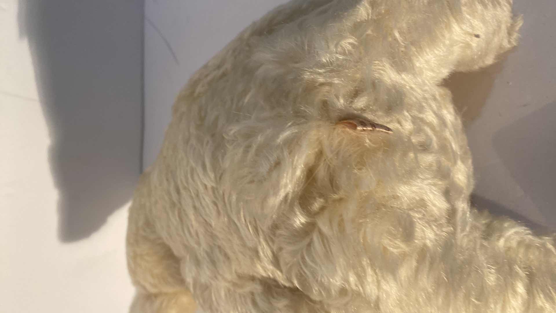 Photo 1 of CAROLYN LAMOTHE COLLECTION MOHAIR TEDDY BEAR “DARLA” H13”