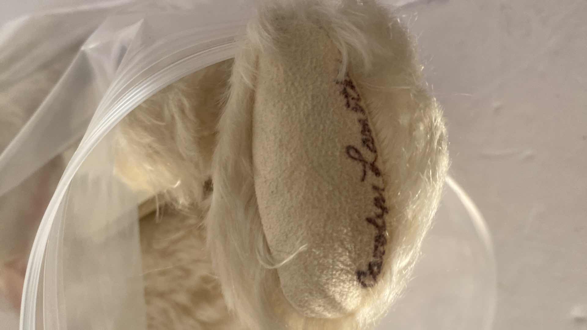 Photo 1 of CAROLYN LAMOTHE COLLECTION MOHAIR TEDDY BEAR “DARLA” H13”