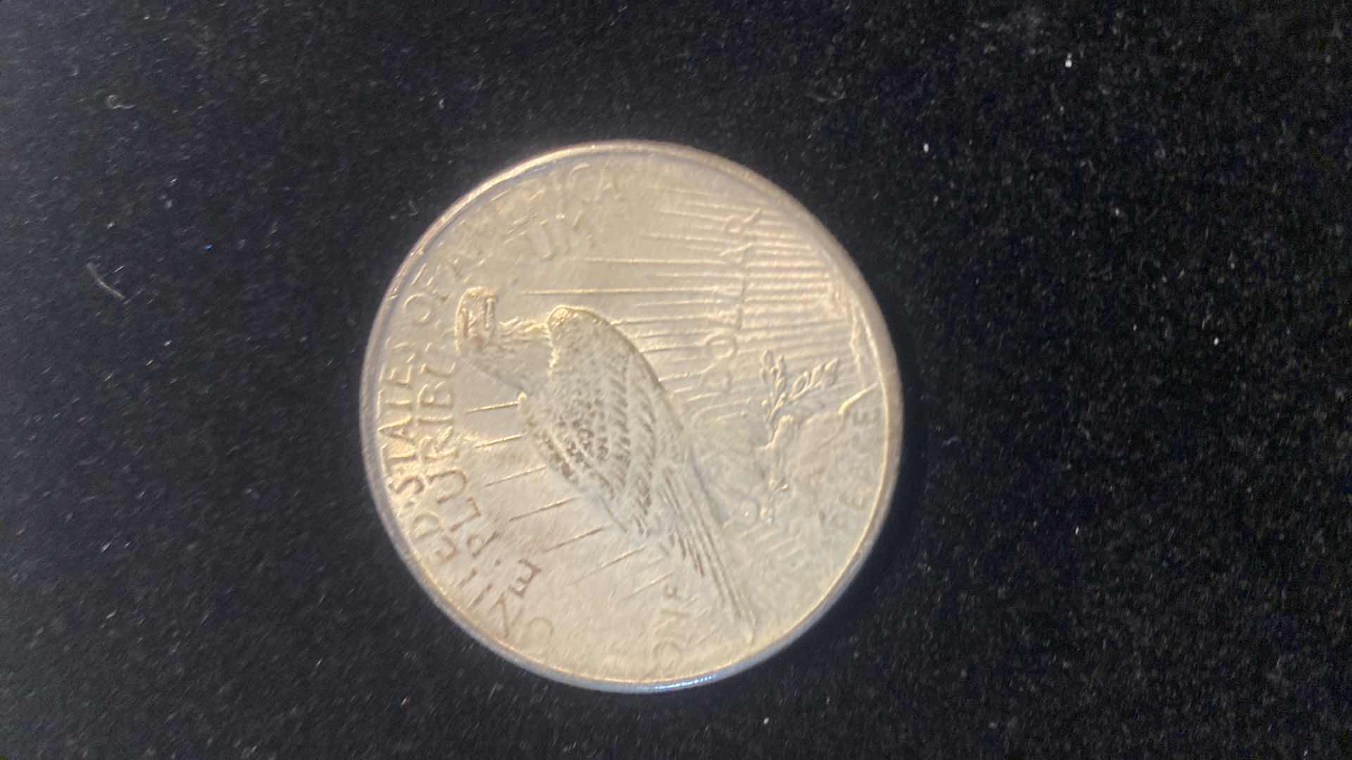 Photo 1 of 1924 PEACE SILVER DOLLAR