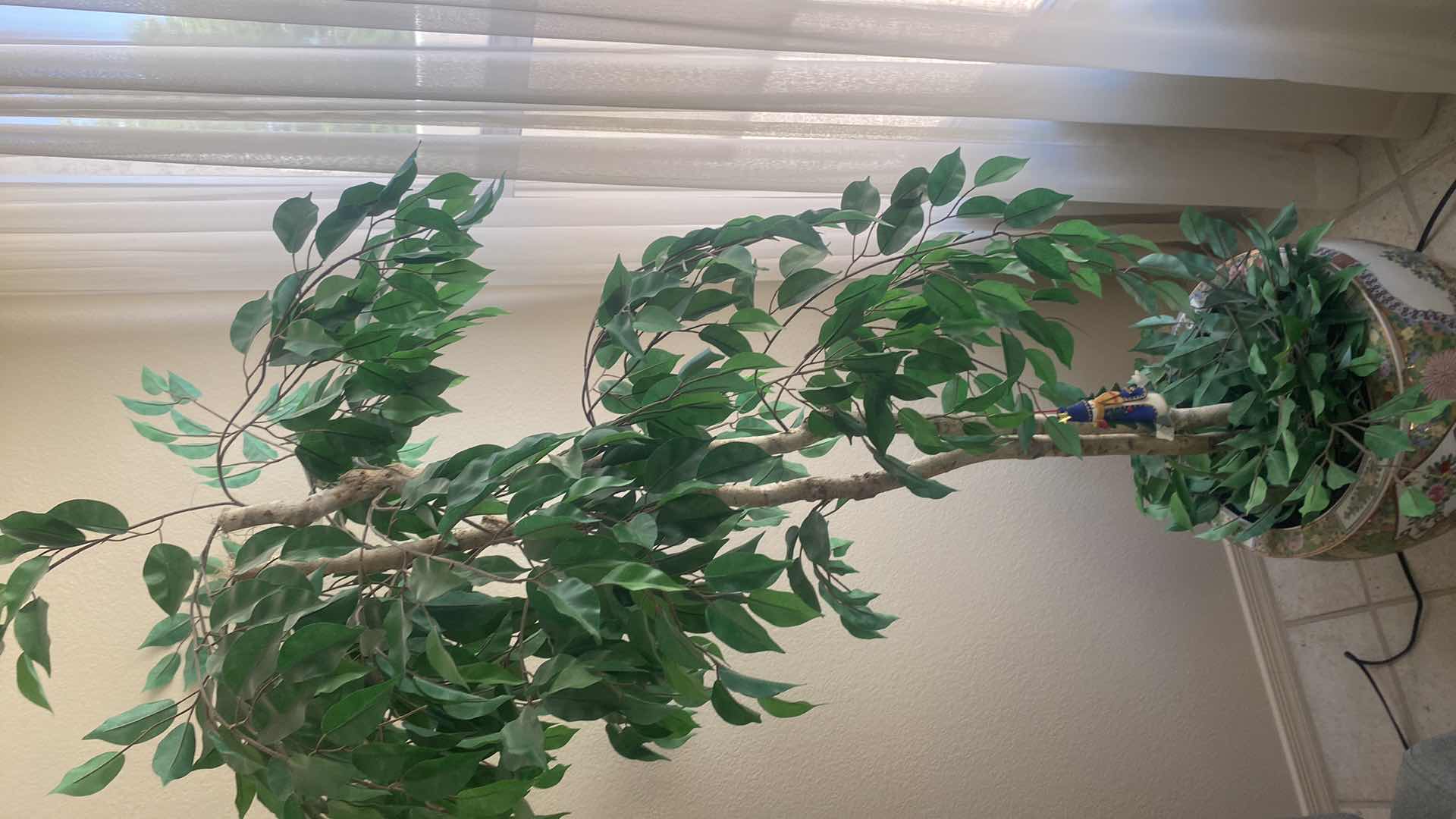 Photo 1 of FAUX FICUS TREE IN FISHBOWL POT H6’