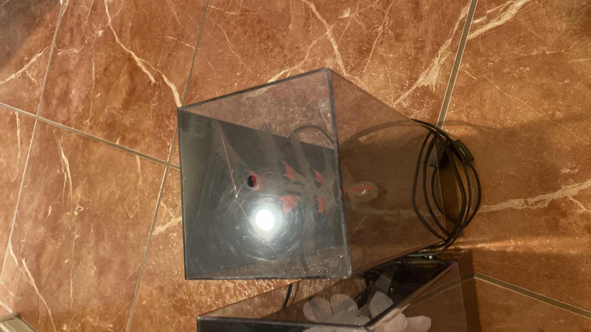 Photo 1 of 4 - VINTAGE FIBER OPTIC LAMPS W/ MUSIC - 2 FLORAL 1 PEACOCK H14” (both florals need bulbs, top of peacock has cracks)