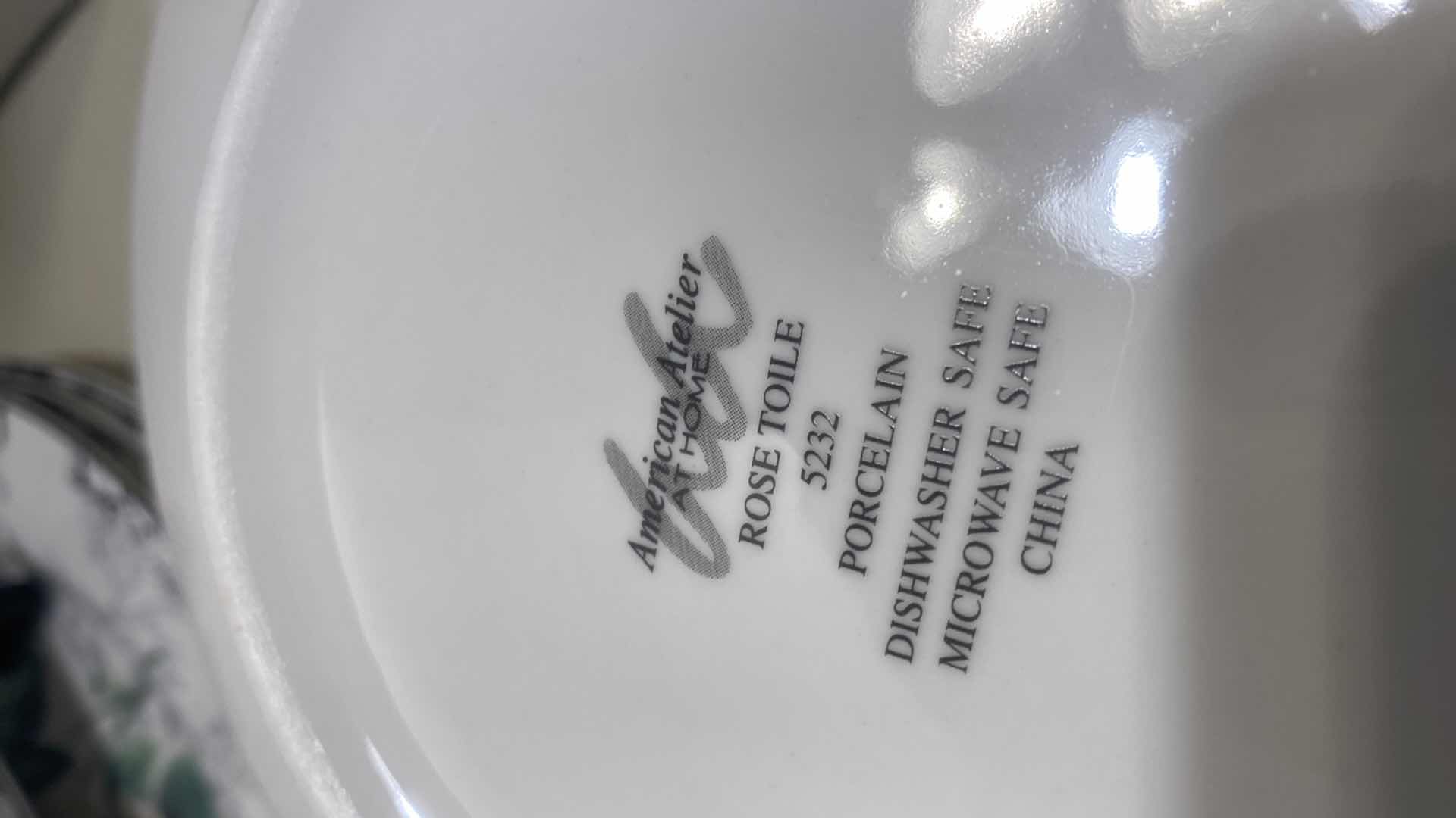 Photo 1 of 20 PIECE SET AMERICAN ATELIER RISE TOILE PORCELAIN CHINA