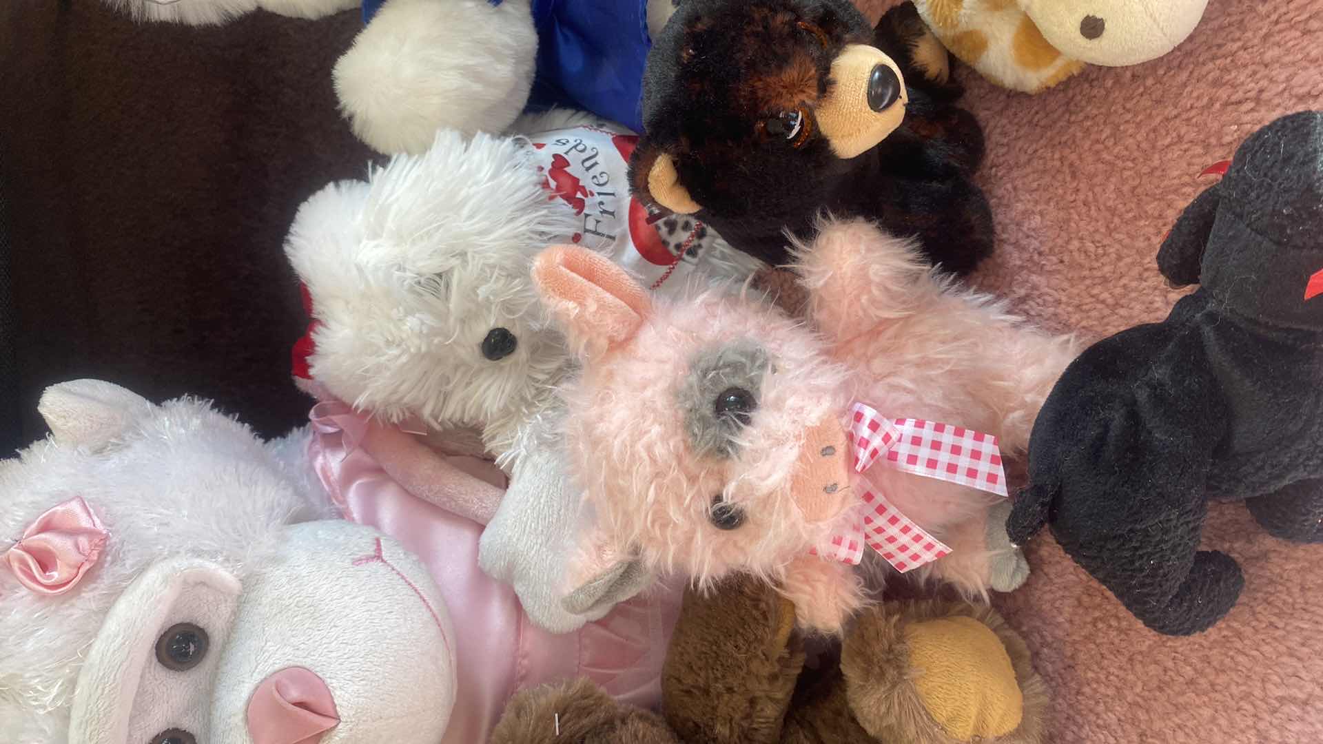 Photo 1 of 9 - STUFFED ANIMALS