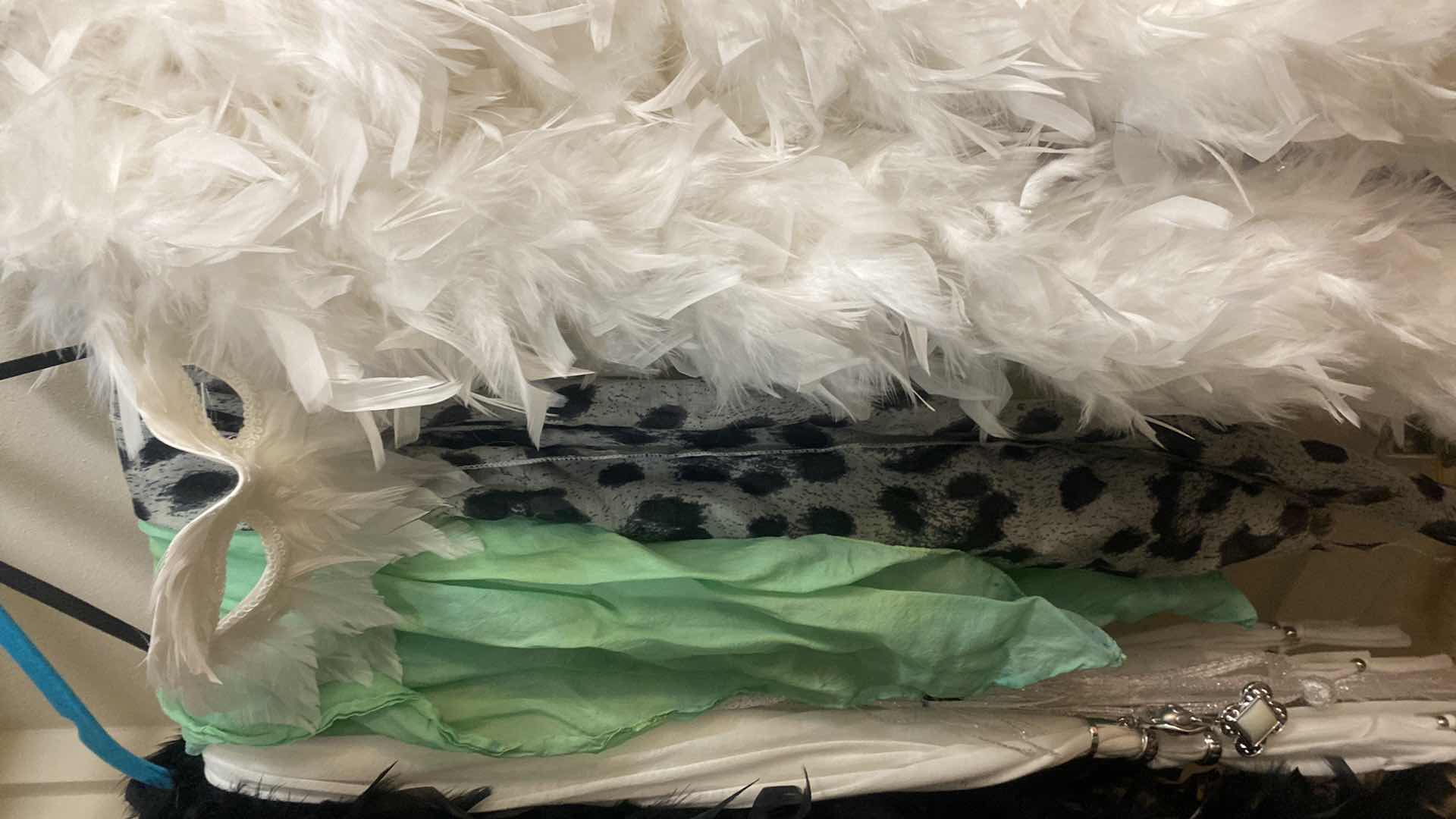 Photo 1 of 7 BELTS 2 BOAS & 4 SCARFS