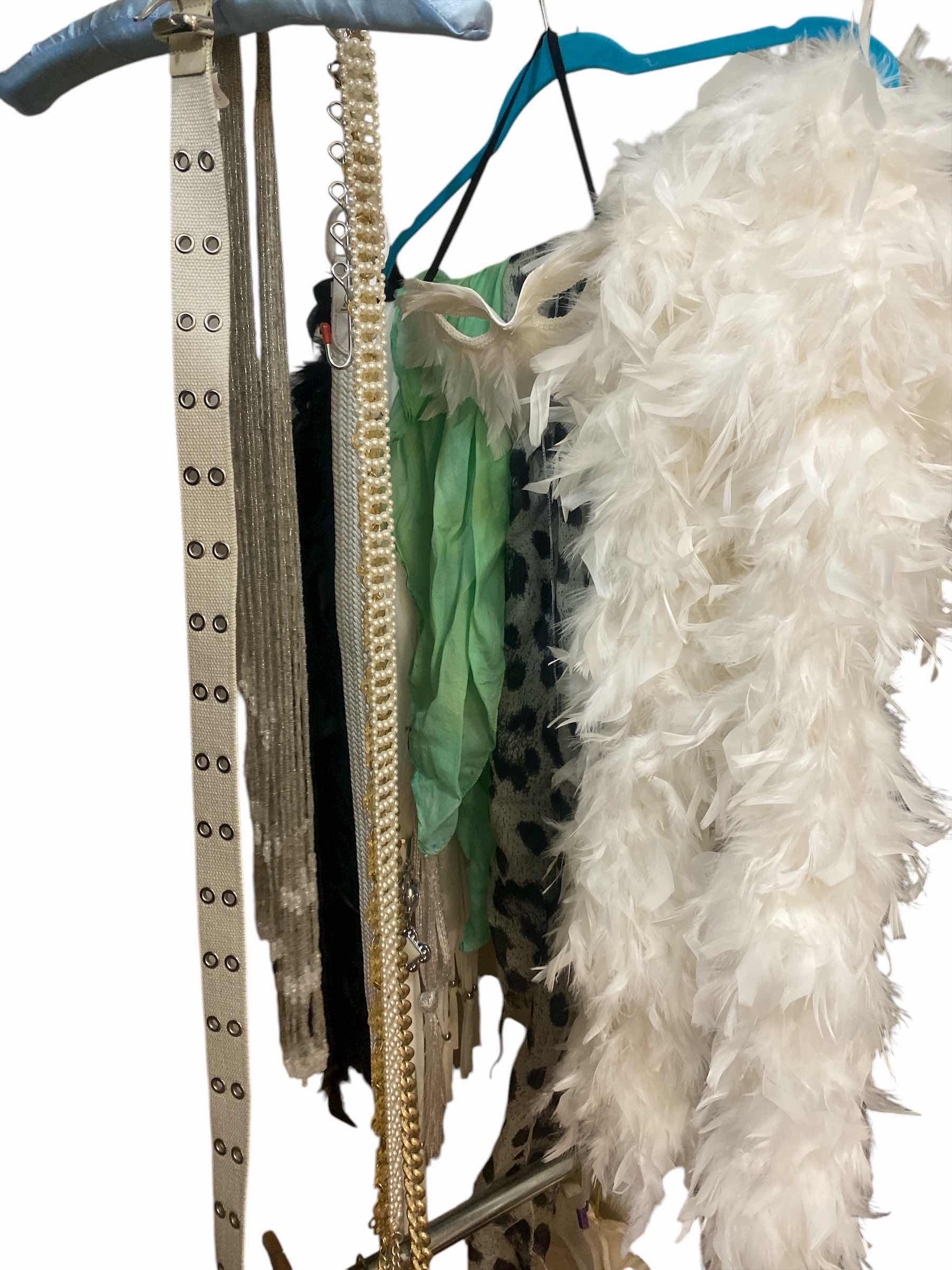 Photo 1 of 7 BELTS 2 BOAS & 4 SCARFS