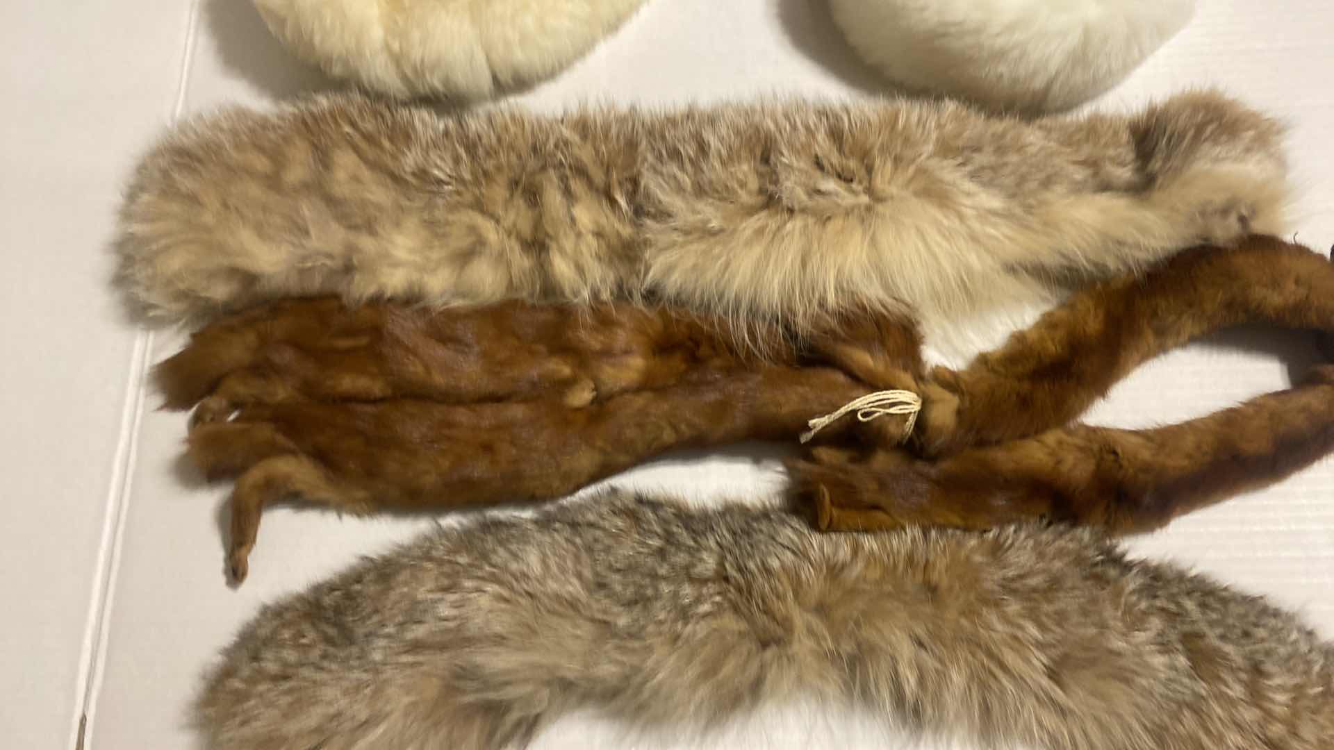 Photo 1 of 3 FUR COLLARS, SHEEPSKIN HAT & FAUX HAT WITH HAT BOX