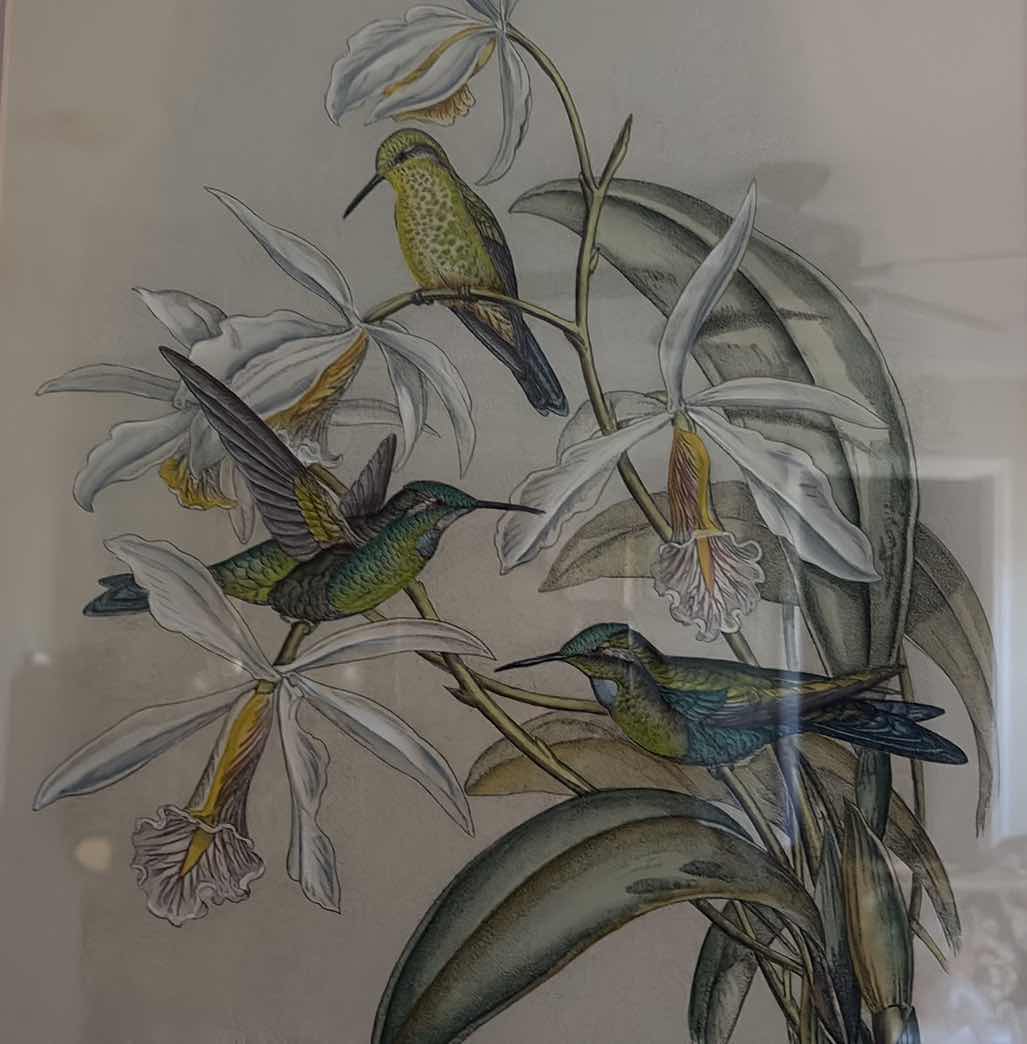 Photo 1 of FRAMED HUMMINGBIRD ARTWORK 32”X39”