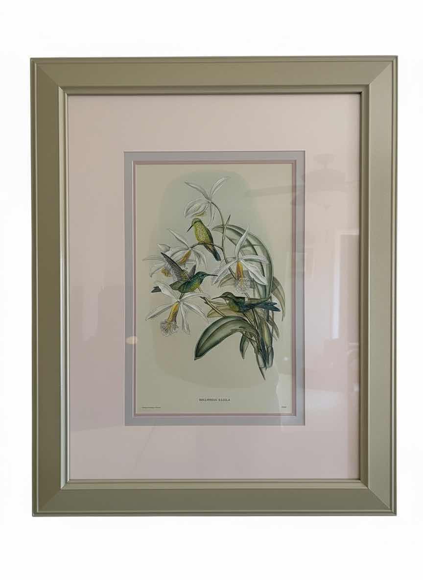Photo 1 of FRAMED HUMMINGBIRD ARTWORK 32”X39”