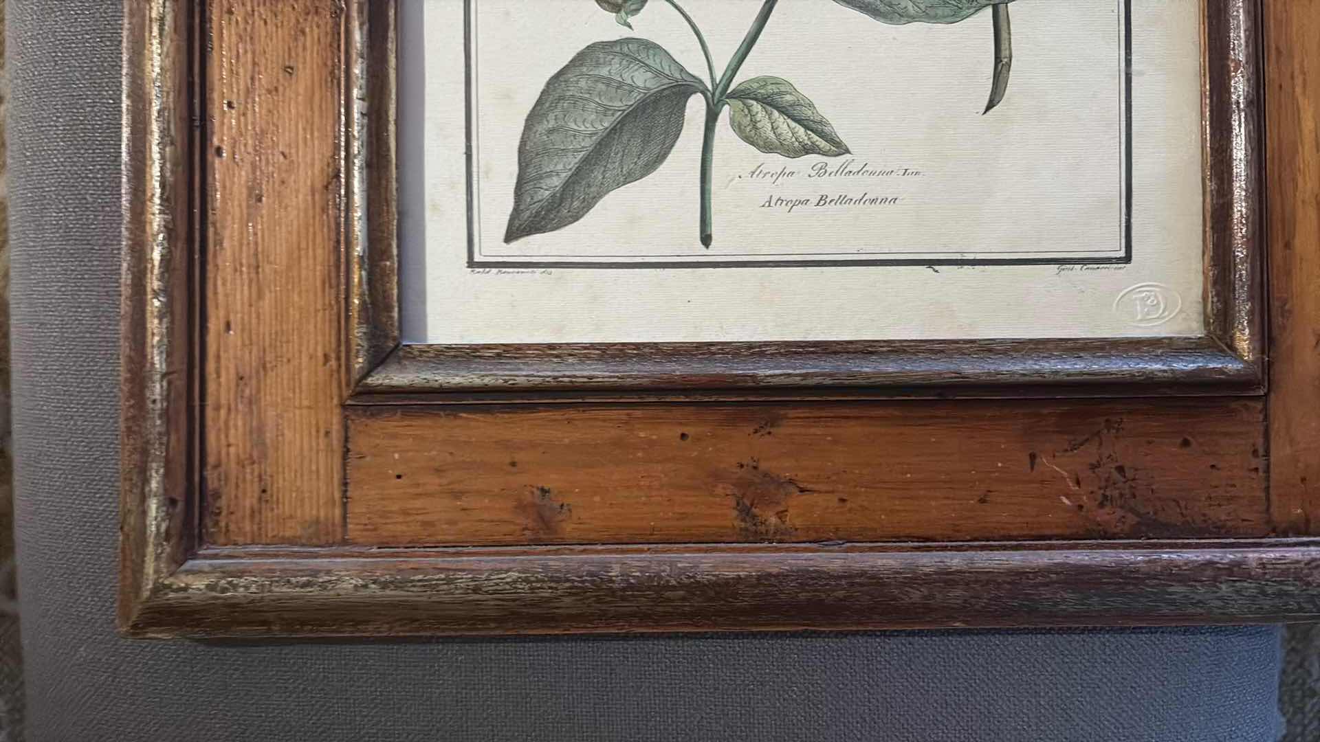 Photo 1 of (2) PCS FRAMED BOTANICAL ARTWORK 15”X18”