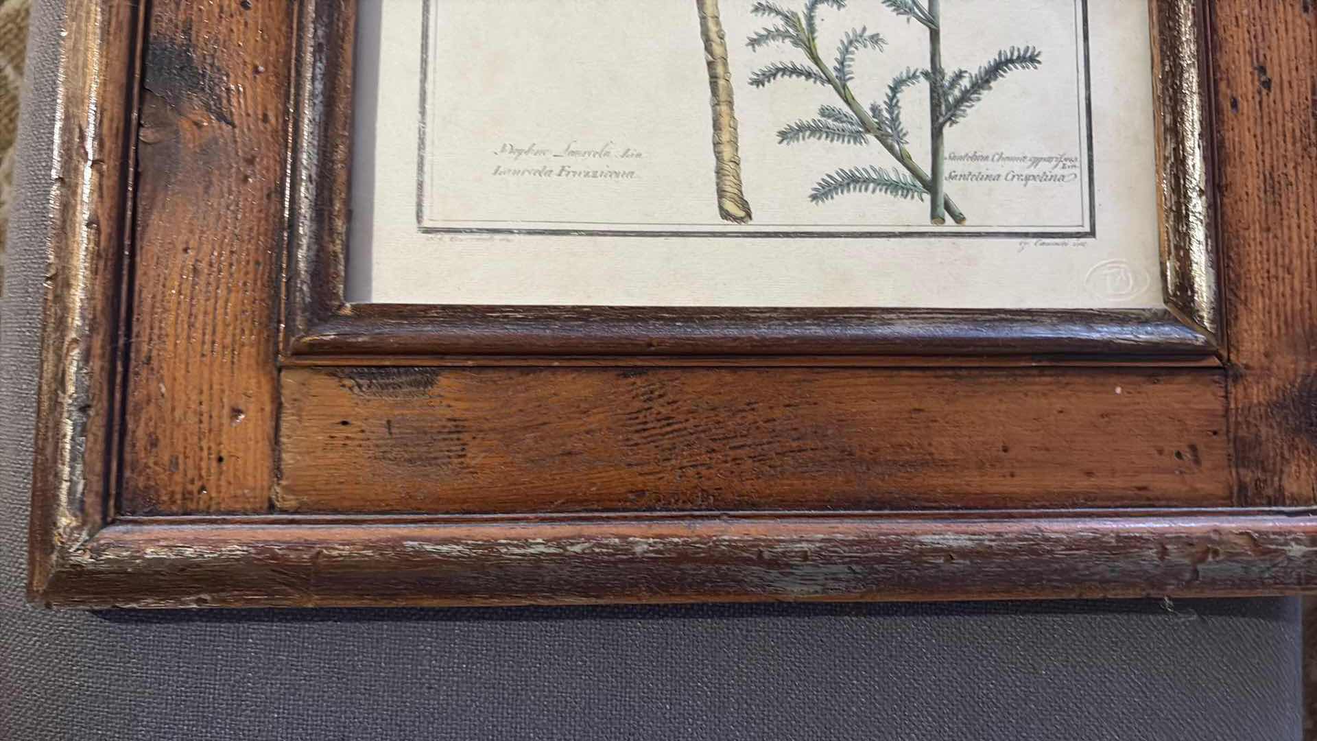 Photo 1 of (2) PCS FRAMED BOTANICAL ARTWORK 15”X18”