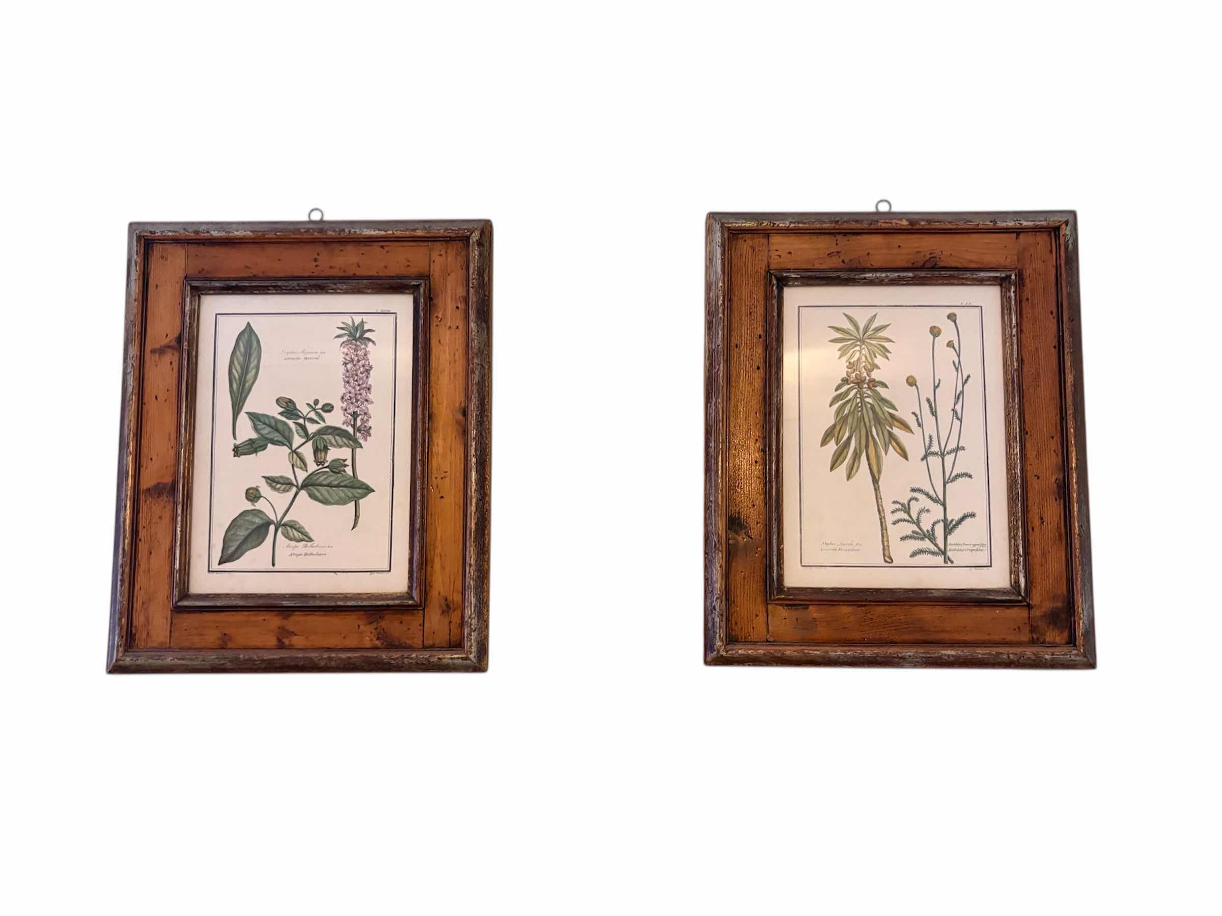 Photo 1 of (2) PCS FRAMED BOTANICAL ARTWORK 15”X18”