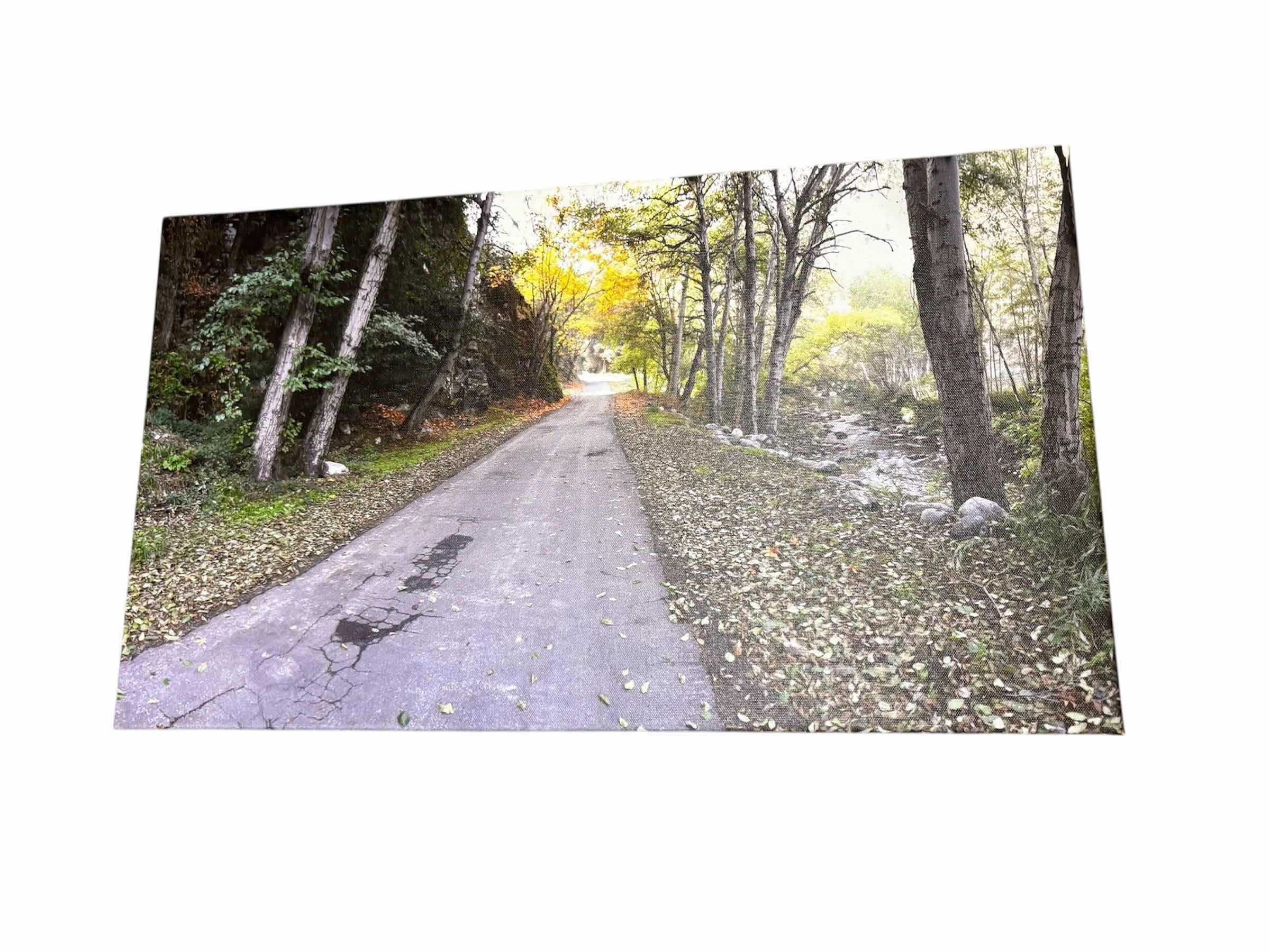 Photo 1 of (2)PCS LANDSCAPE ARTWORK 25”X17”