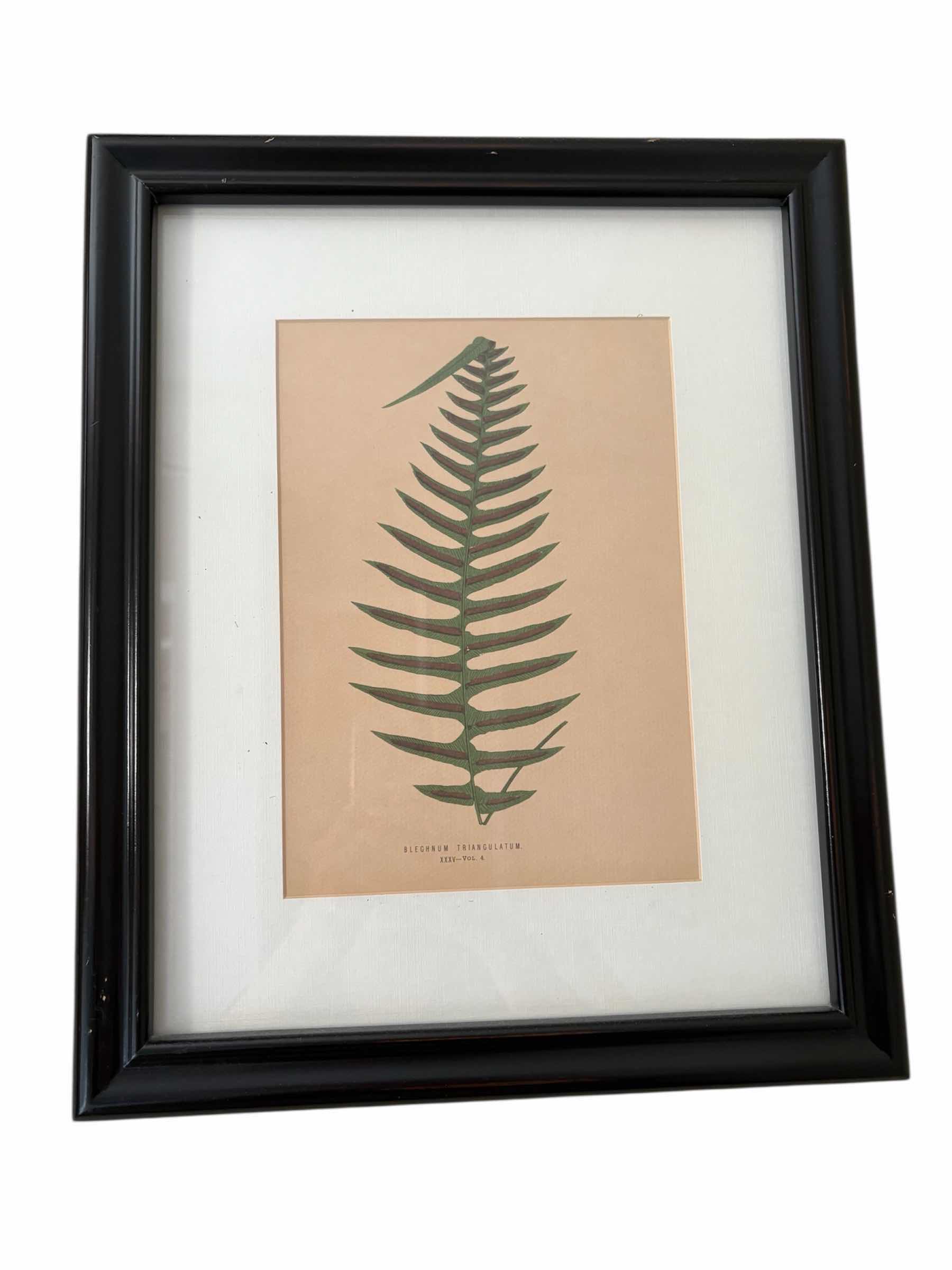 Photo 1 of (2)PCS BOTANICAL FRAMED ARTWORK 17”X14”
