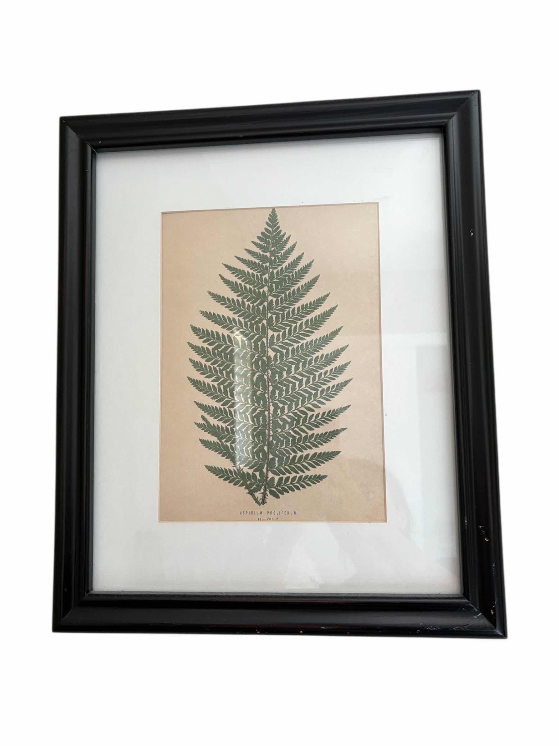 Photo 1 of (2)PCS BOTANICAL FRAMED ARTWORK 17”X14”