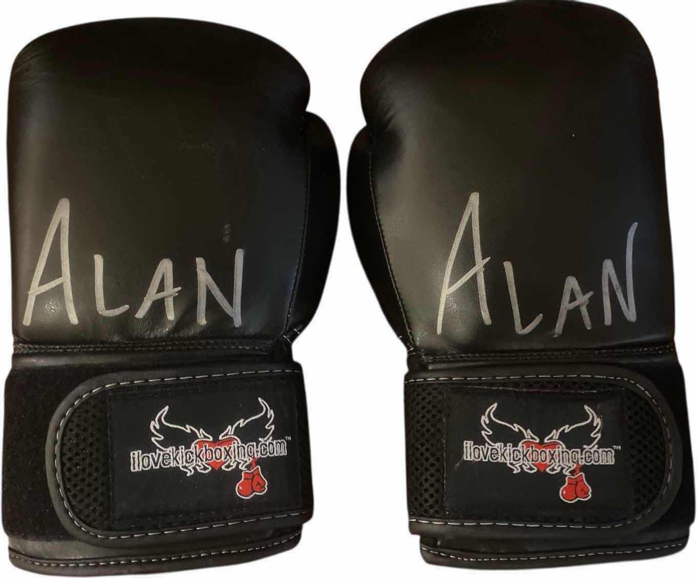 Photo 1 of KICK BOXING GLOVES