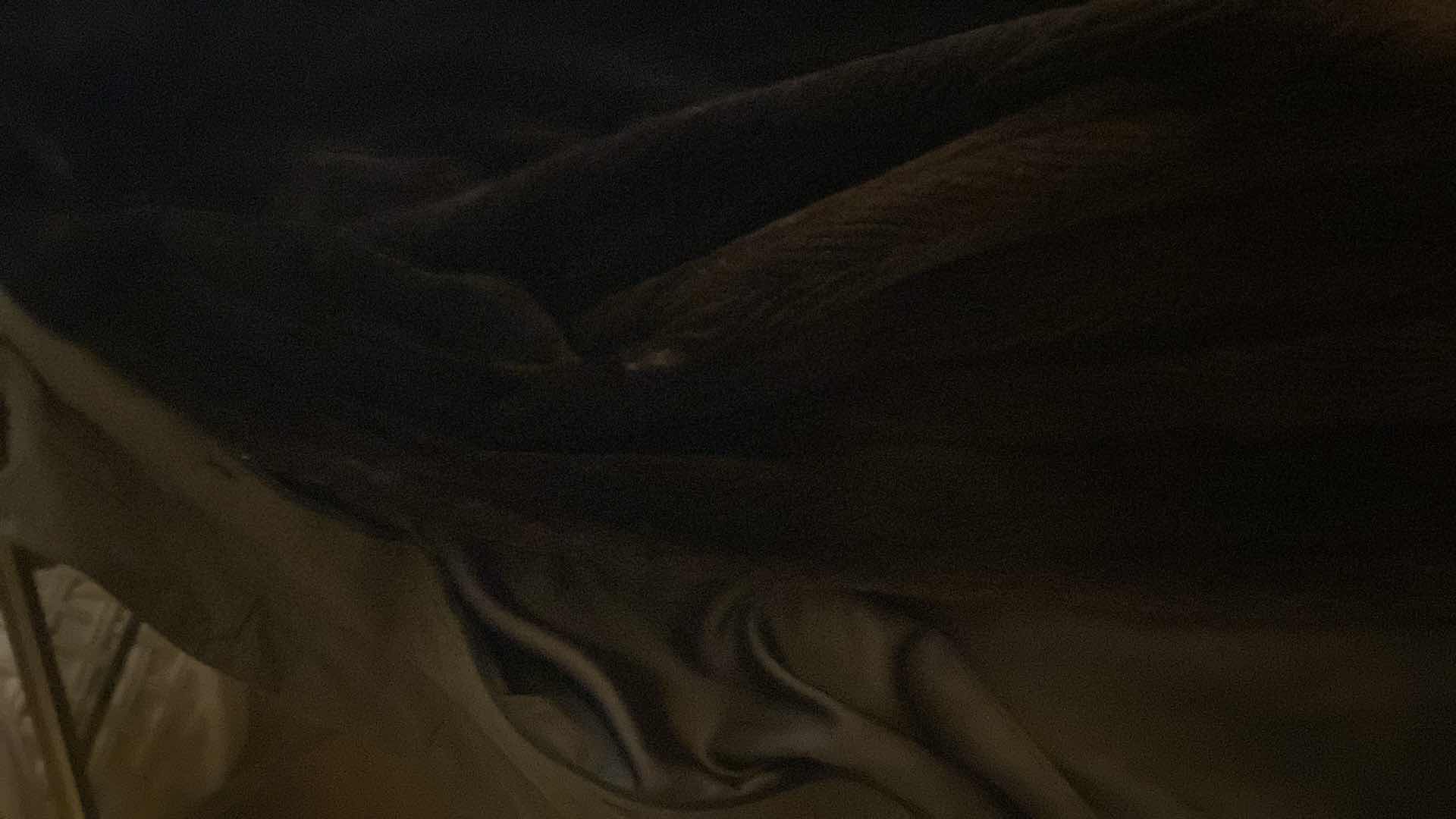 Photo 1 of WOMENS RAIN/WINTER COAT WITH REMOVABLE FUR LINER EST SIZE MEDIUM